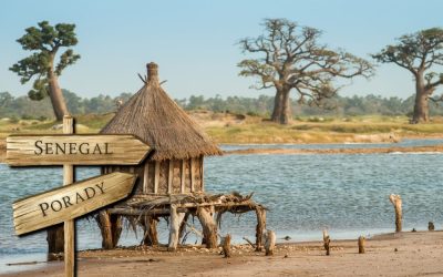 Senegal porady