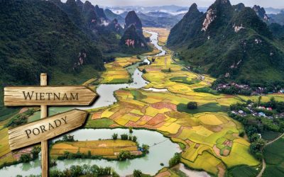 Wietnam porady