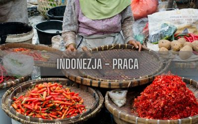 11 ciekawostek o pracy w Indonezji