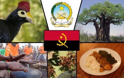 Symbole narodowe Angoli