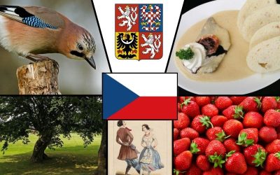 Symbole narodowe Czech