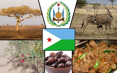 Symbole narodowe Dżibuti