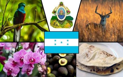 Symbole narodowe Hondurasu