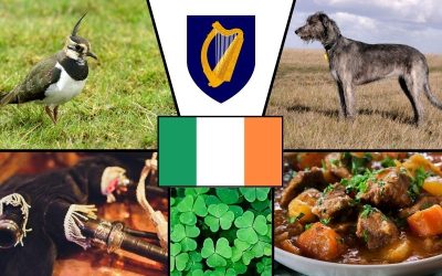 Symbole narodowe Irlandii