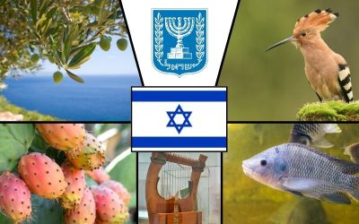 Symbole narodowe Izraelu