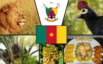 Symbole narodowe Kamerunu