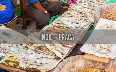 15 ciekawostek o pracy w Indiach