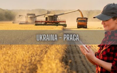 13 ciekawostek o pracy na Ukrainie