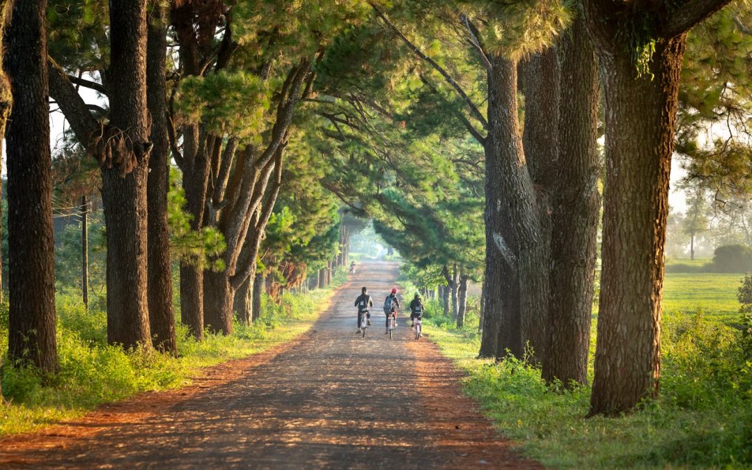 Zalety wypoczynku na wsi