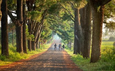 Zalety wypoczynku na wsi