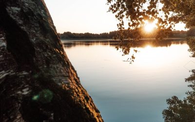 Dzień w spa na Mazurach – uczta dla zmysłów i duszy