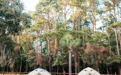 Wielkopolska z namiotem: najpiękniejsze miejsca na biwak w regionie