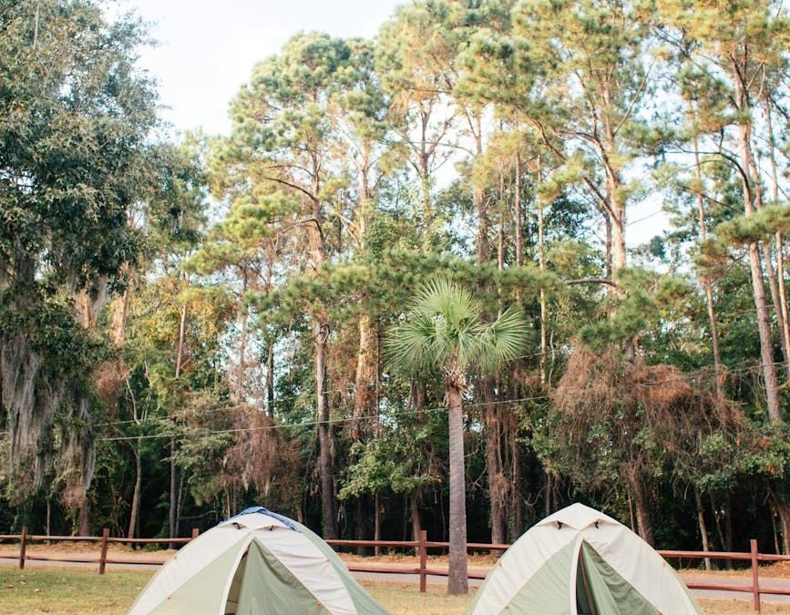 Wielkopolska z namiotem: najpiękniejsze miejsca na biwak w regionie