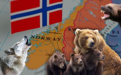 Najgroźniejsze zwierzęta w Norwegii