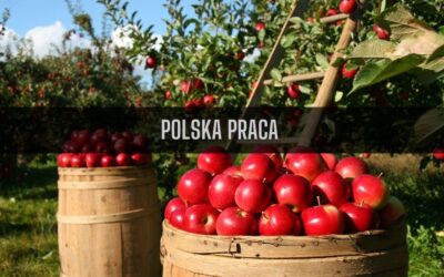 22 ciekawostki o pracy w Polsce