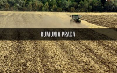 25 ciekawostek o pracy w Rumunii