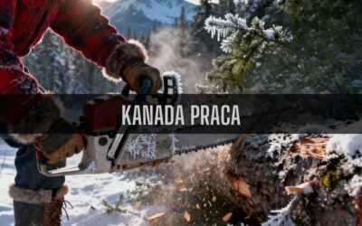 21 ciekawostek o pracy w Kanadzie
