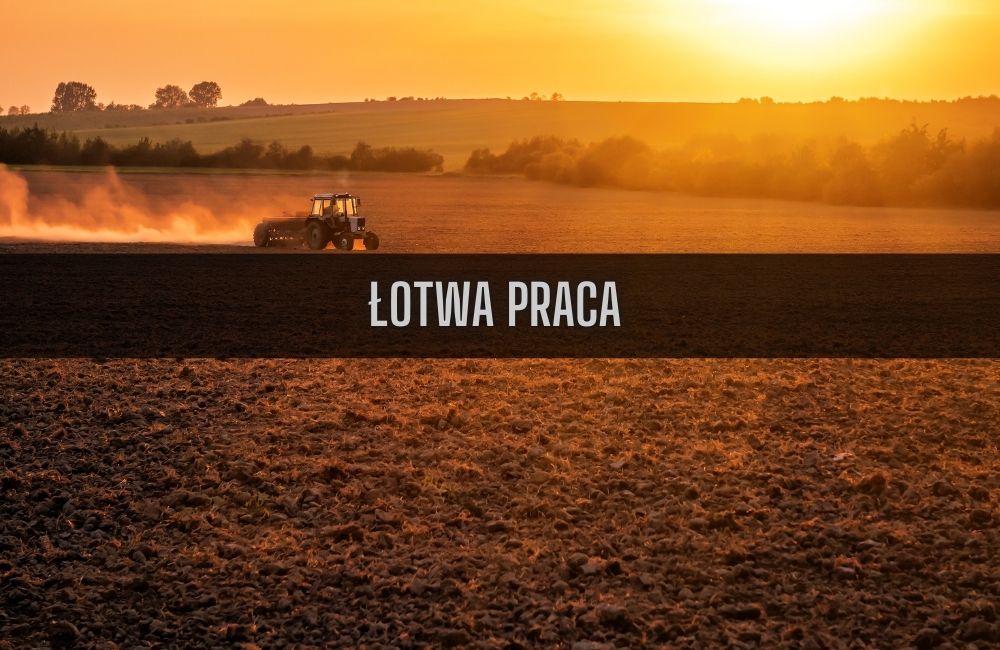 Łotwa praca