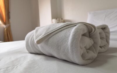 ​Co warto zobaczyć w okolicy Poznania?