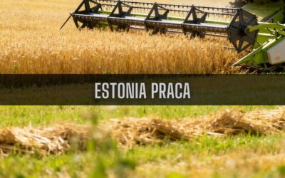 24 ciekawostki o pracy w Estonii