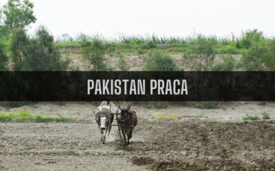 16 ciekawostek o pracy w Pakistanie