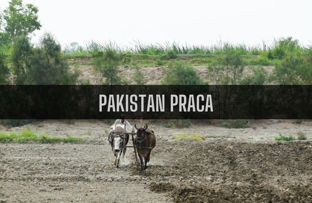 Pakistan praca