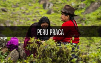 18 ciekawostek o pracy w Peru