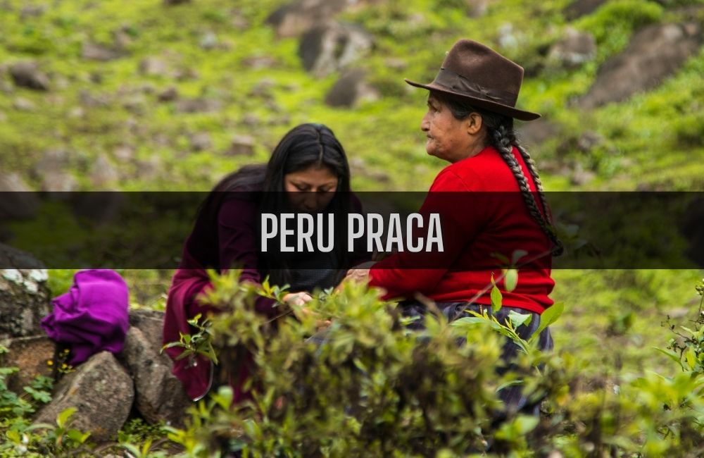Peru praca