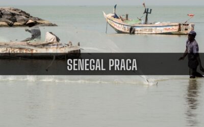 14 ciekawostek o pracy w Senegalu