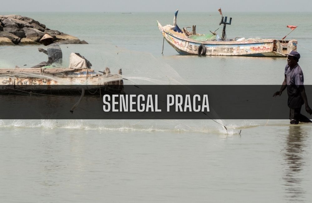 Senegal praca