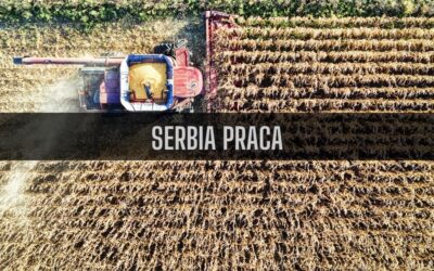 17 ciekawostek o pracy w Serbii