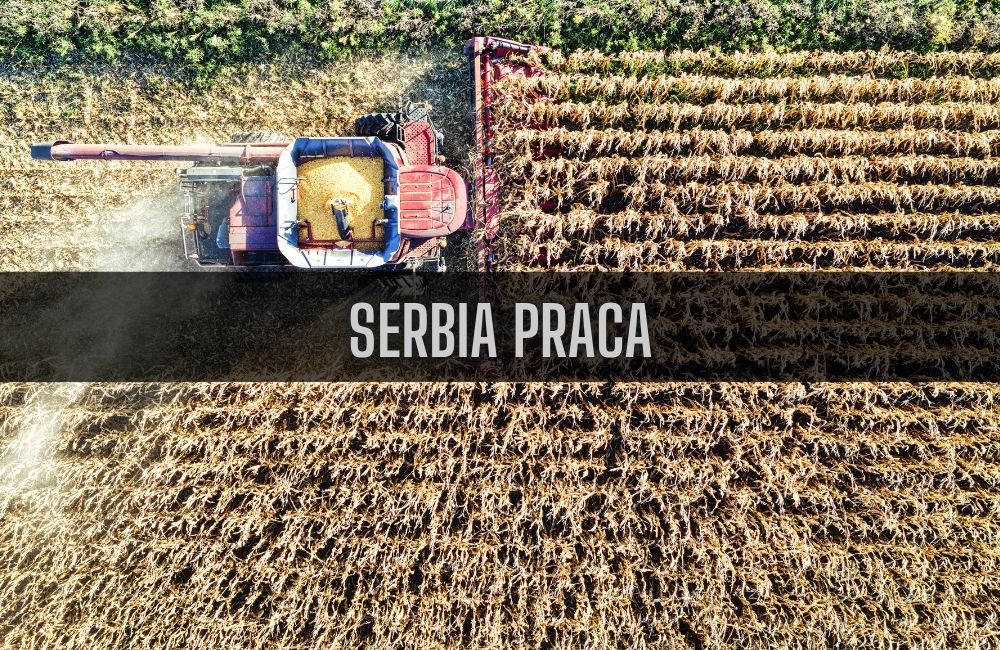 Serbia praca
