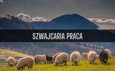 20 ciekawostek o pracy w Szwajcarii