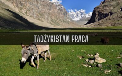 17 ciekawostek o pracy w Tadżykistanie