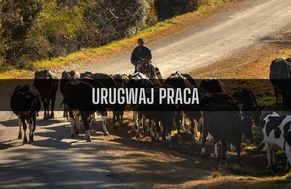 Urugwaj praca