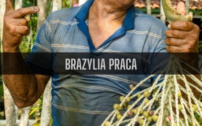 25 ciekawostek o pracy w Brazylii