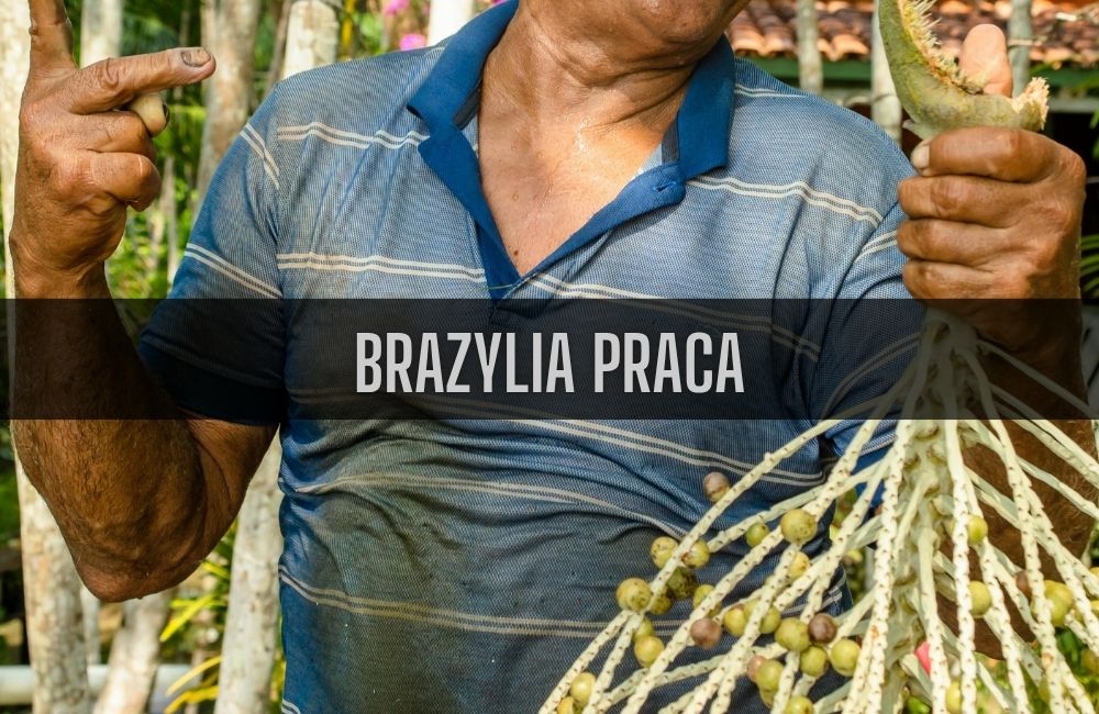 Brazylia praca