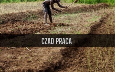 14 ciekawostek o pracy w Czadzie