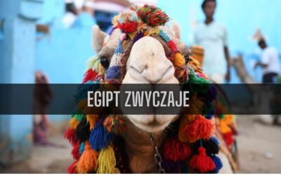 24 ciekawostki o zwyczajach w Egipcie