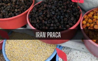 16 ciekawostek o pracy w Iranie