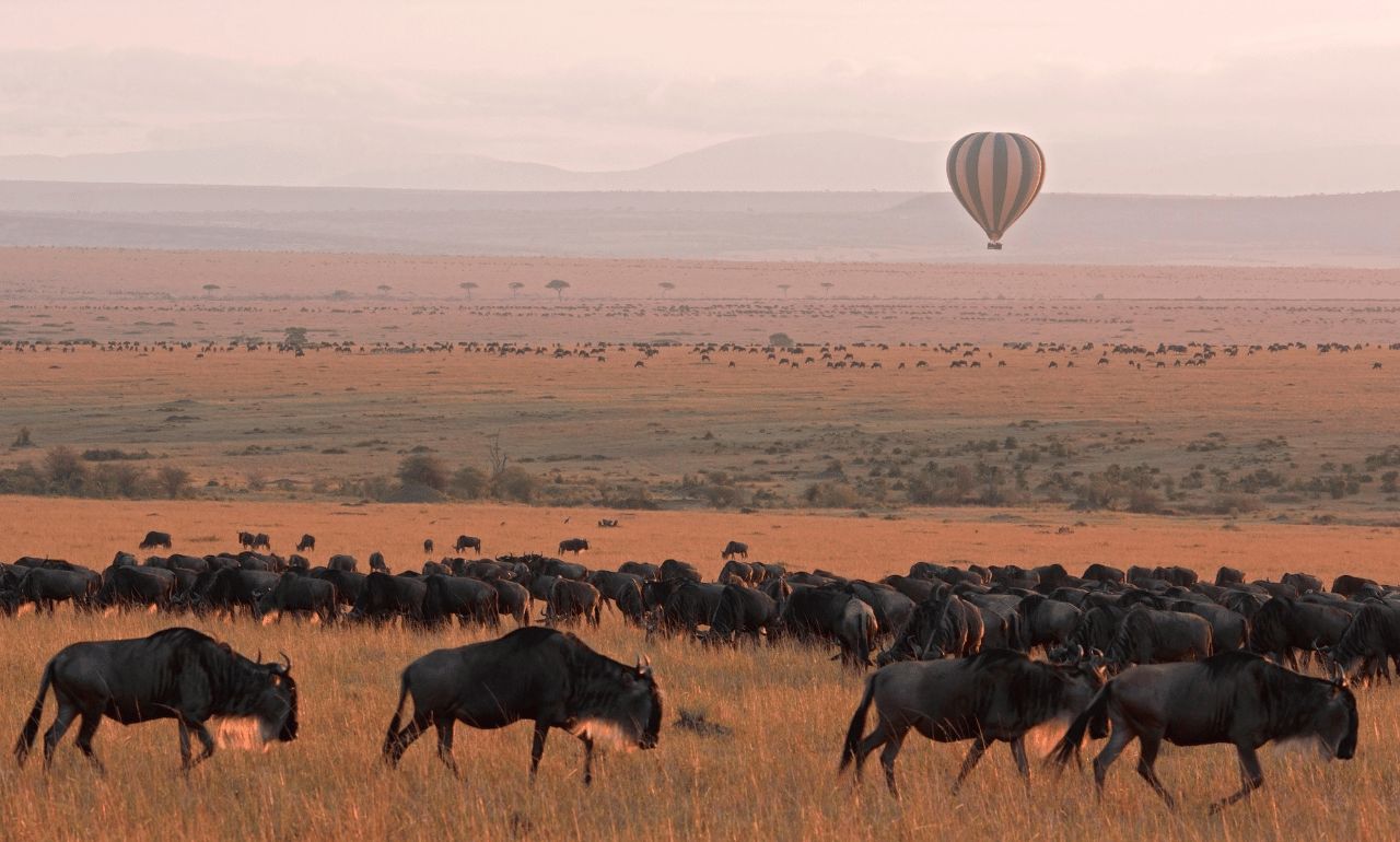 Masai Mara