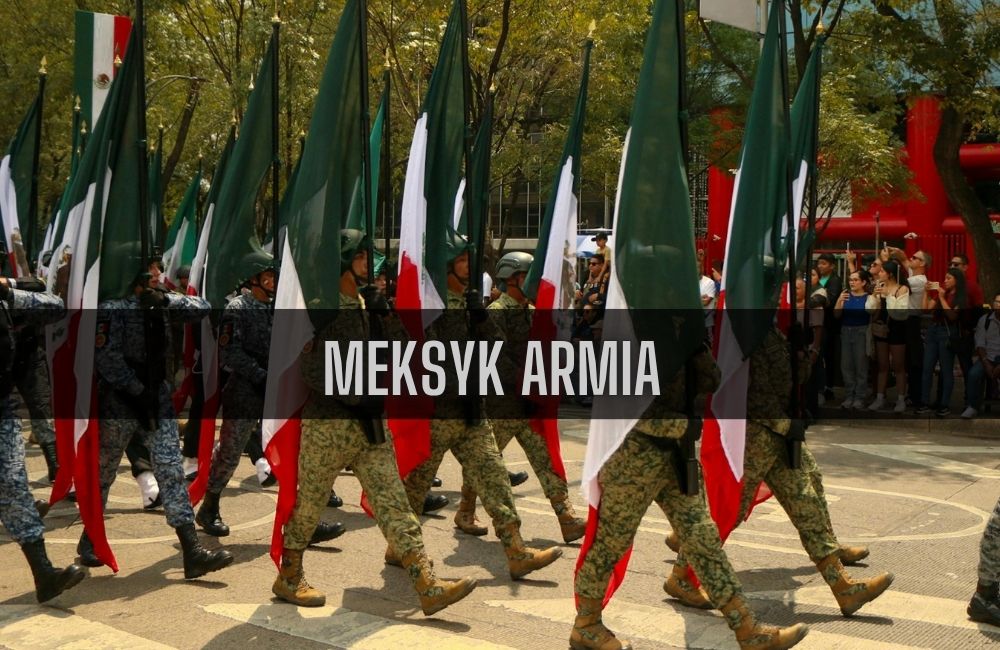 Meksyk armia