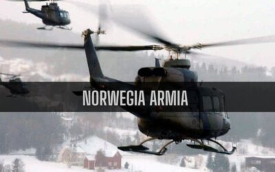 23 ciekawostki o armii Norwegii