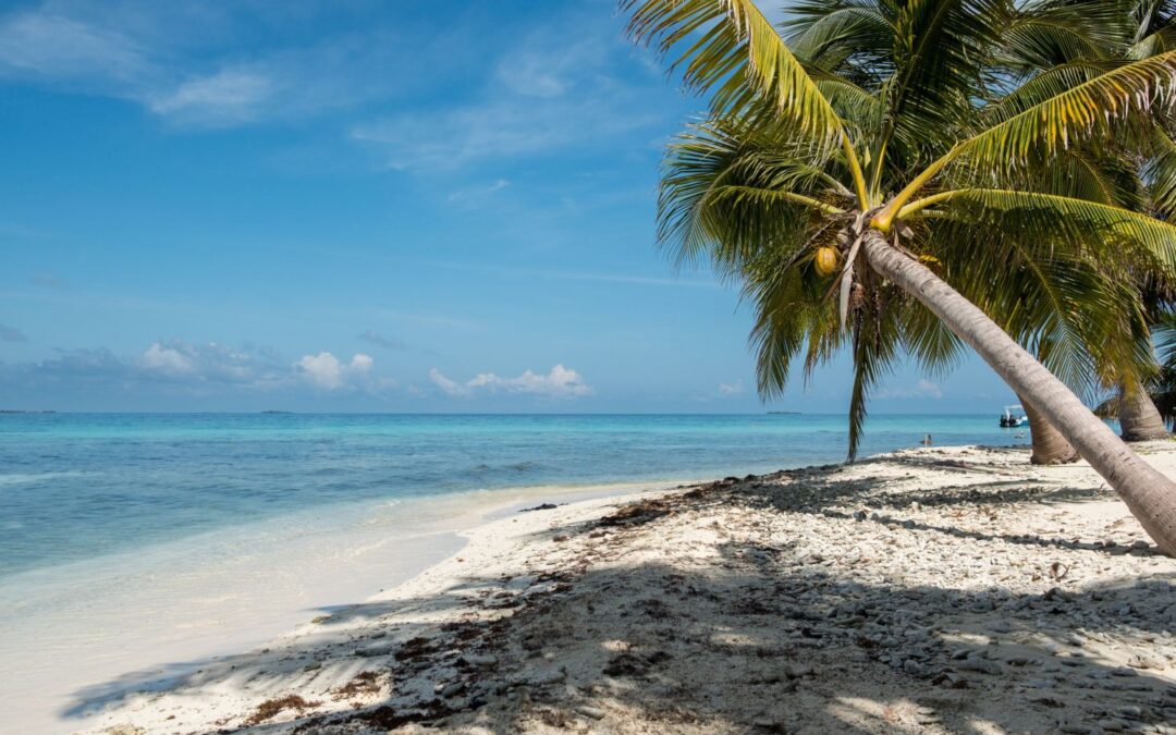 Dlaczego Belize to ukryta perełka Ameryki Środkowej?