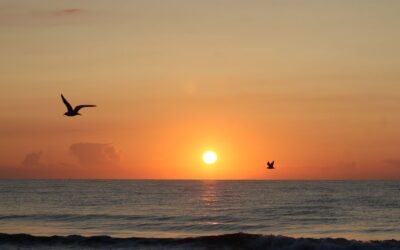 Ponbierowo – jak można spędzić tutaj urlop?