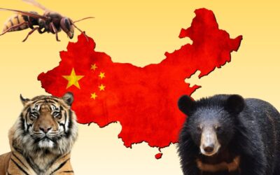 Najgroźniejsze zwierzęta w Chinach: od szerszeni po jadowite węże