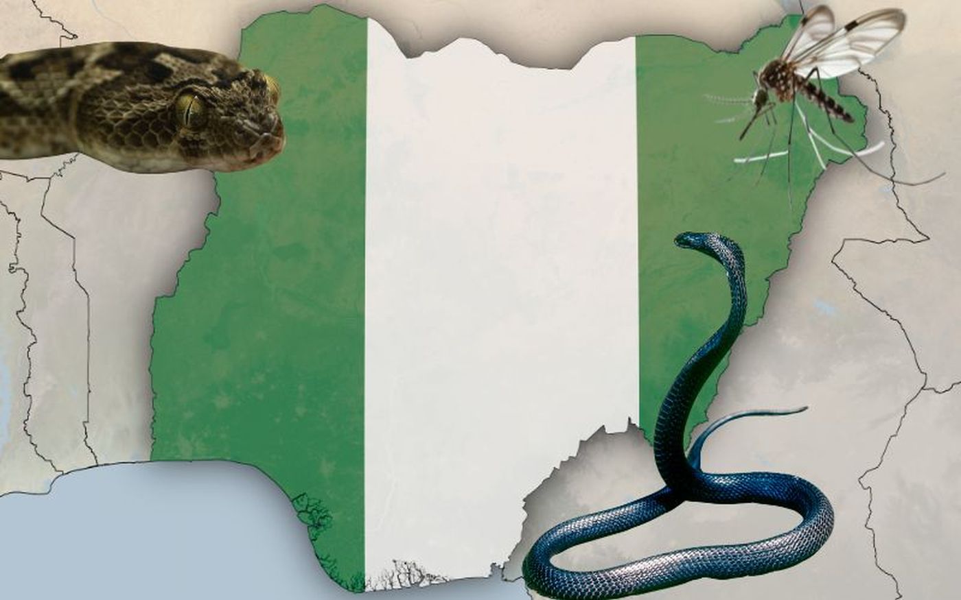 najgroźniejsze zwierzęta w Nigerii