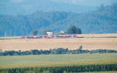Tanie podróżowanie po Słowacji: Transport, noclegi i budżet