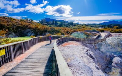 Rotorua – miasto, w którym ziemia oddycha, a natura ma swoich strażników