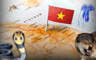 Najgroźniejsze zwierzęta w Wietnamie – na co uważać w tropikach?